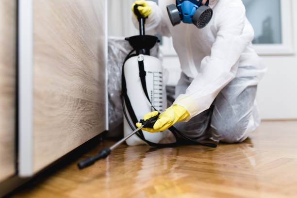 Pest Control for Restaurants in Blue Bell, PA