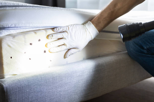 Best Commercial Pest Control Services  in Blue Bell, PA