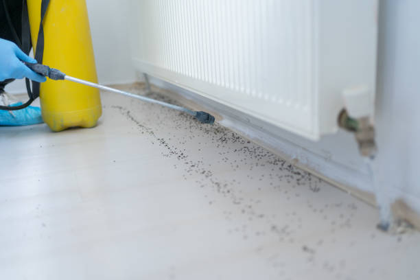 Insect Control in Blue Bell, PA