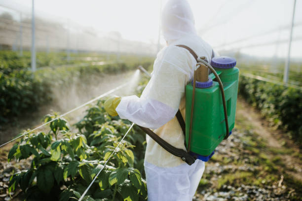 Best Pest Control for Businesses  in Blue Bell, PA